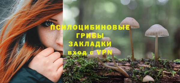 spice Алзамай