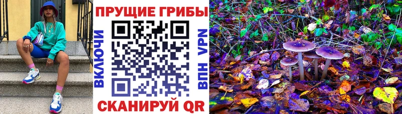 Купить  Жуков  Галлюциногенные грибы мицелий 